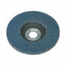 Sealey FD10080 Flap Disc Zirconium &#8709;100mm 16mm Bore 80Grit additional 1