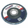 Sealey FD11560 Flap Disc Zirconium &#8709;115mm 22mm Bore 60Grit additional 3