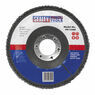Sealey FD11560 Flap Disc Zirconium &#8709;115mm 22mm Bore 60Grit additional 2