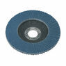 Sealey FD12560 Flap Disc Zirconium &#8709;125mm 22mm Bore 60Grit additional 1