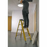 Sealey FSL5 Fibreglass Step Ladder 4-Tread EN 131 additional 2
