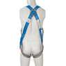 Silverline Fall Arrest Harness - 2-Point additional 2