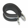 Sealey PCJ21 P-Clip Rubber Lined &#8709;21mm Pack of 25 additional 2