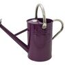 Kent & Stowe Metal Watering Can additional 2
