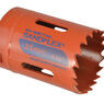 Bahco Variable Pitch Holesaw additional 29