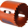 Bahco Variable Pitch Holesaw additional 31