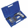 Sealey SA12/S Air Hammer Kit with Chisels Medium Stroke additional 3