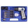 Sealey SA12/S Air Hammer Kit with Chisels Medium Stroke additional 2