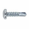 Sealey SDPH4819 Self Drilling Screw 4.8 x 19mm Pan Head Phillips Zinc D7504N Pack of 100 additional 2