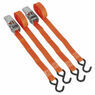 Sealey TD0540S2 Ratchet Tie Down 25mm x 4m Polyester Webbing with S Hooks 500kg Load Test - Pair additional 3