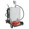 Sealey AK4562D Oil Dispensing System Air Operated with 10m Retractable Hose Reel additional 4