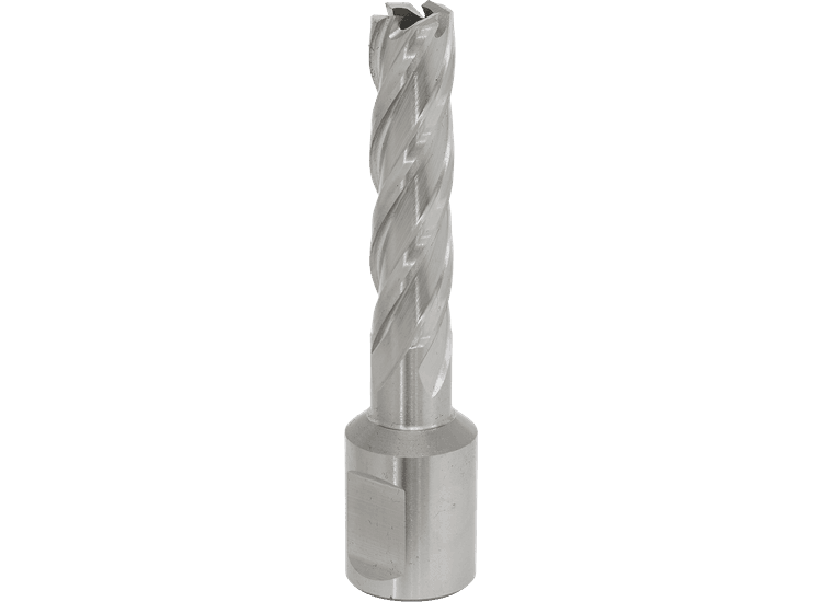 Sealey Rotabor Cutter HSS &amp;Oslash;12mm - Cut Depth 50mm RBHSS12L