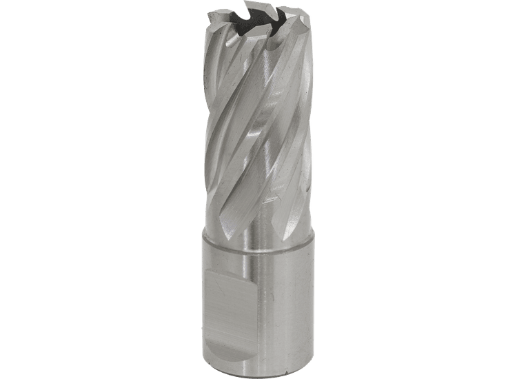 Sealey Rotabor Cutter HSS &amp;Oslash;17mm - Cut Depth 25mm RBHSS17S