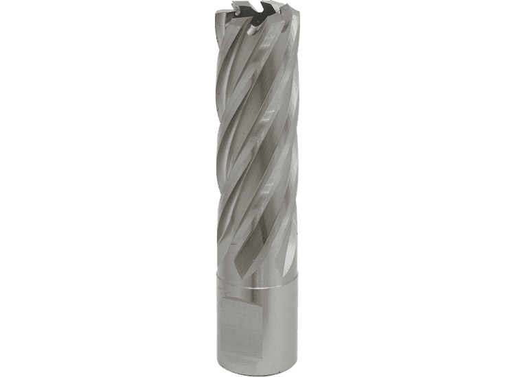 Sealey Rotabor Cutter HSS &amp;Oslash;19mm - Cut Depth 50mm RBHSS19L