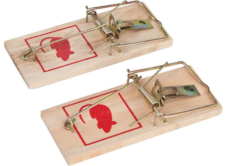 Fixman Classic Mouse Trap 2pk 100 x 45mm