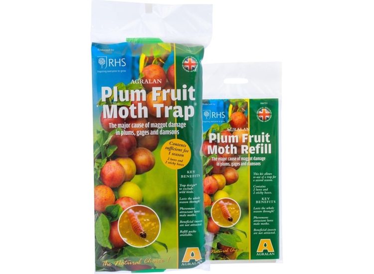 Agralan Plum Fruit Moth Trap