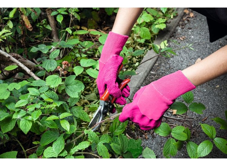 Ambassador SG210A Ladies Latex Heavy Duty Glove Pink