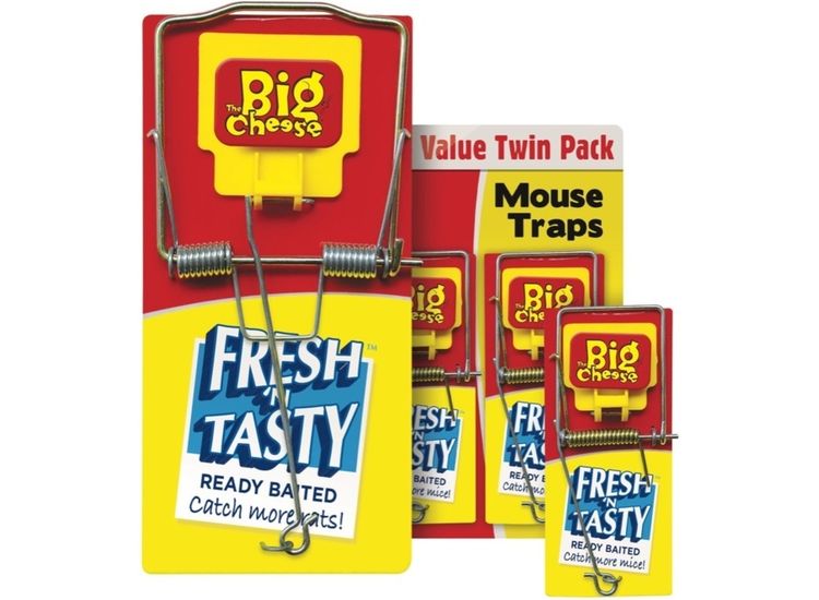The Big Cheese Fresh Baited Mouse Trap