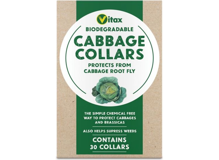 Vitax 6CC1 Cabbage Collars