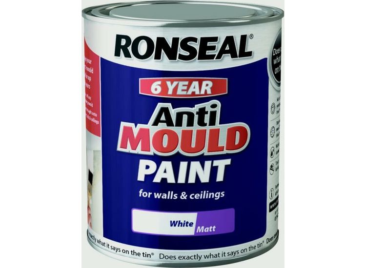 Ronseal 6 Year Anti Mould Paint 750ml