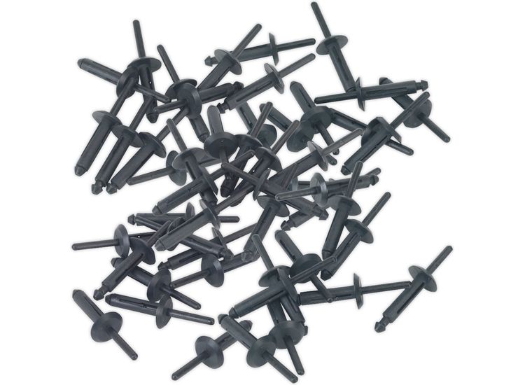 Sealey PR002 Plastic Rivet &amp;#8709;6.3 x 25.2mm Pack of 50