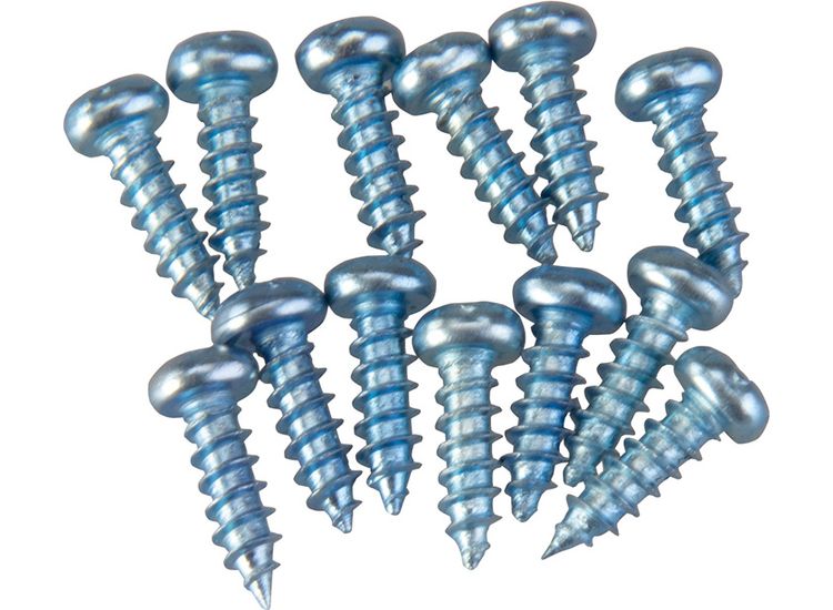 Triton PAN HEAD SCREWS PK12 WRA001