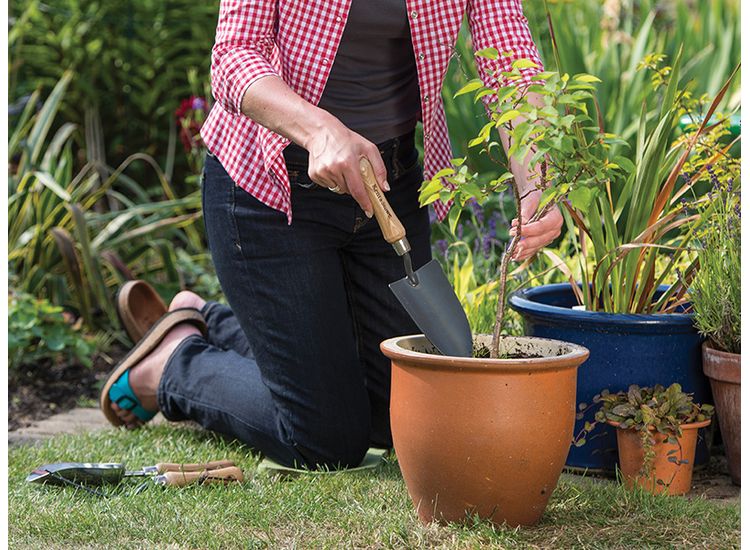 Kent &amp; Stowe Hand Trowel, FSC®