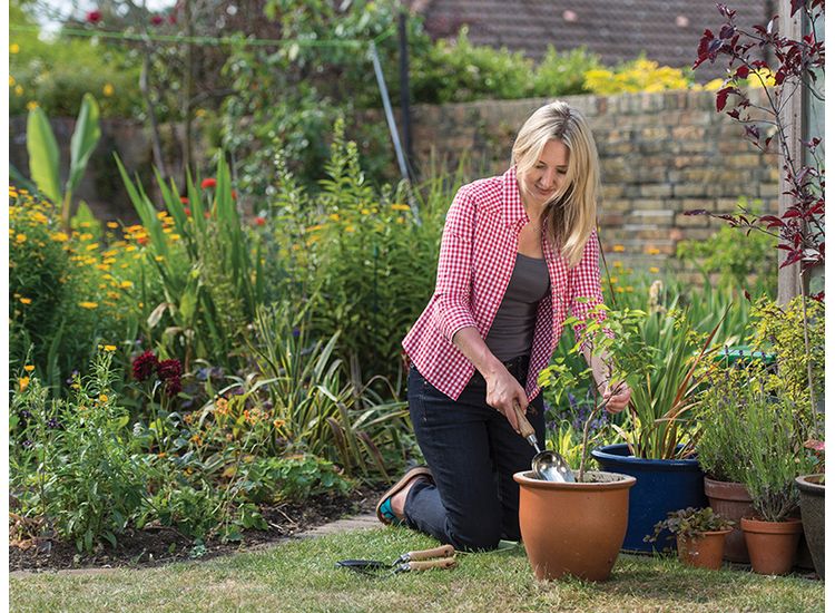 Kent &amp; Stowe Stainless Steel Hand Potting Scoop, FSC®