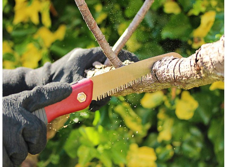 Kent &amp; Stowe Turbo Folding Saw