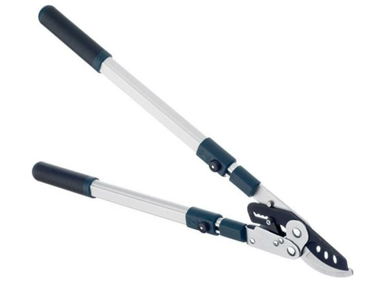 Bulldog BD3113TW Evergreen Extending Bypass Loppers