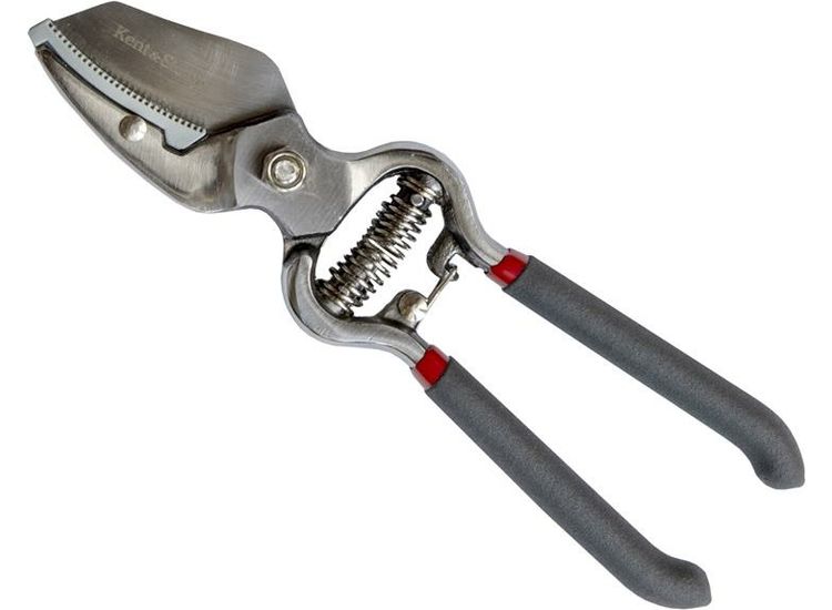 Kent &amp; Stowe Traditional Anvil Secateurs