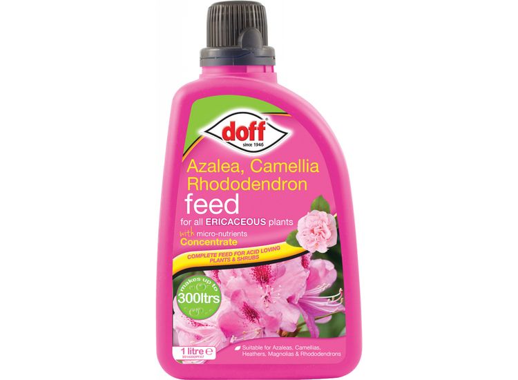 Doff Ericaceous Plant Feed - Concentrate
