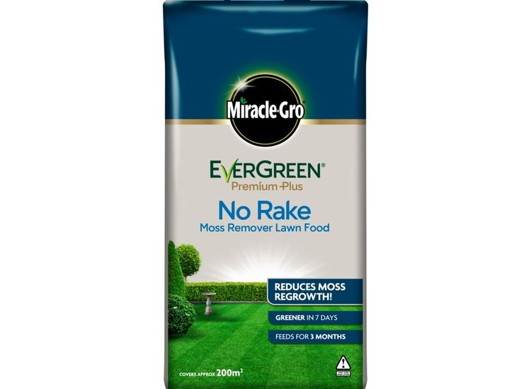 EverGreen 119663 No Rake Moss Remover