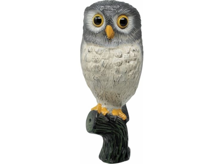 Defenders STV974 Little Owl