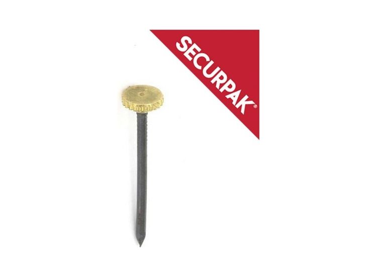 Securpak SP10076 Brass Headed Picture Pins