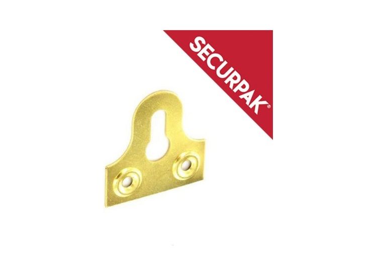 Securpak SP10089 BP Slotted Glass Plate