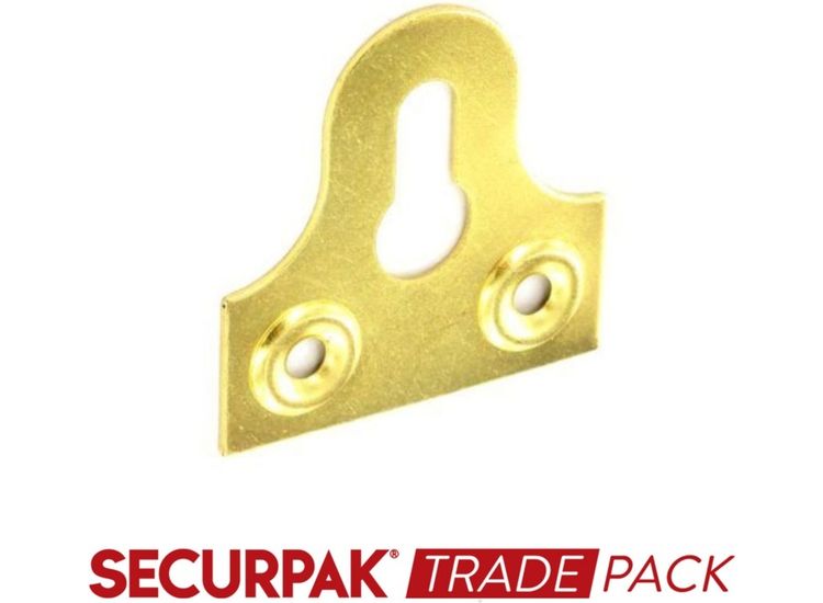 Securpak Trade Pack T10089 Glass Plate Slotted Brass Plated 38mm