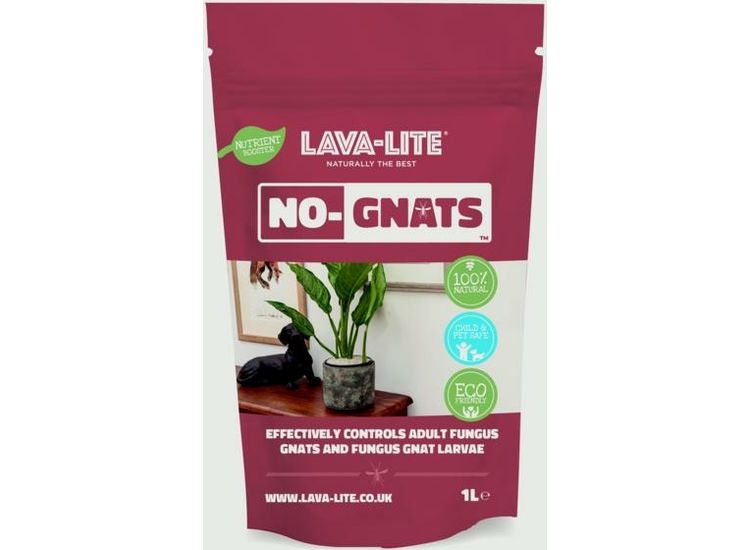 LAVA-LITE No Gnats Fungus Control