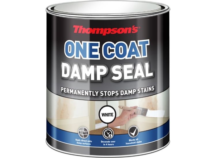 Thompson's 34578 One Coat Damp Seal