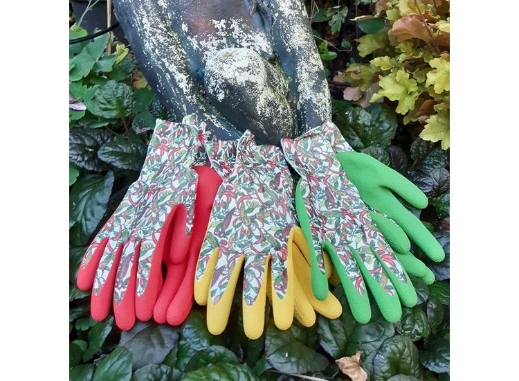 Town Country TGL515 Ladies Chilli Triple Pack