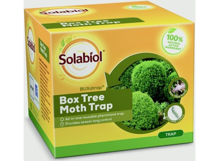 Solabiol 86600043 Box Tree Moth Trap