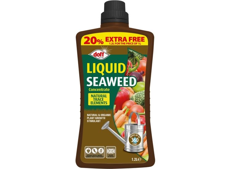 Doff F-JO-A20-DEX Liquid Seaweed Conc Extra Fill