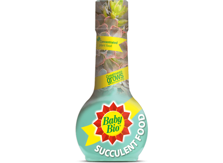 Baby Bio 86601743 Succulent Plant Feed