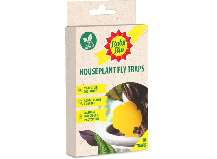 Baby Bio 86601748 Houseplant Fly Traps