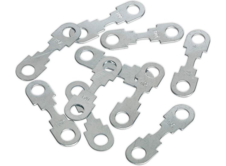 Sealey START360.F10 Fuse 110Amp for START360 &amp; START560 Pack of 10