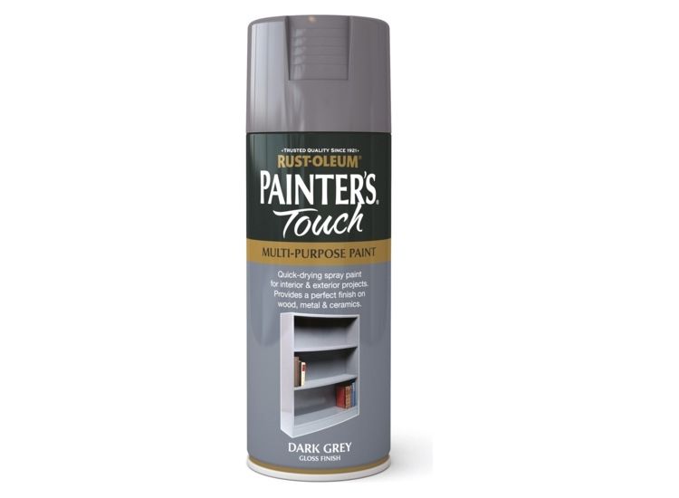 Rustoleum AE0040015E8 Painter Touch Aerosol Dg/Gls