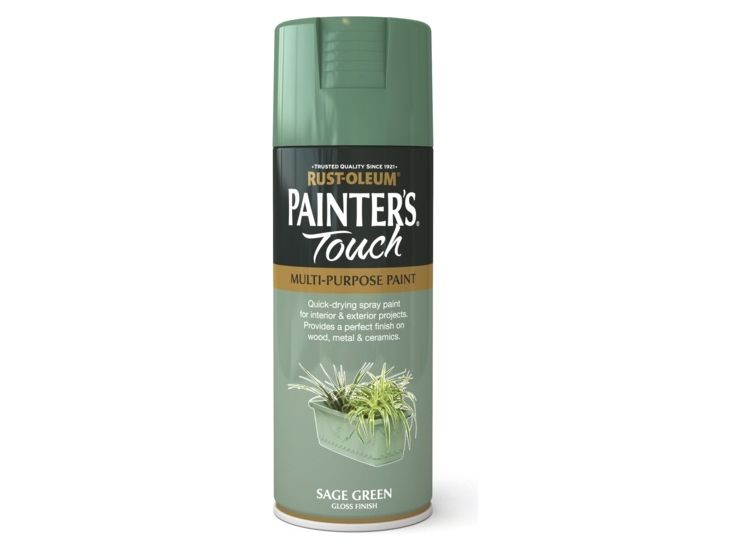 Rustoleum AE0040019E8 Painter Touch Aerosol Sg/Gls