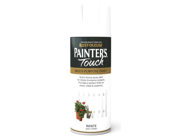 Rustoleum AE0040024E8 Painter Touch Aerosol W/Mtt