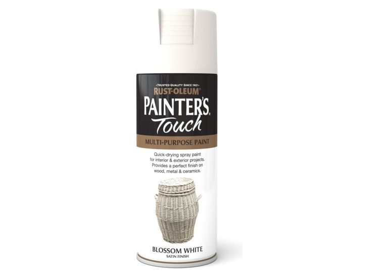 Rustoleum AE0050009E8 Painter Touch Aerosol Bw/Stn