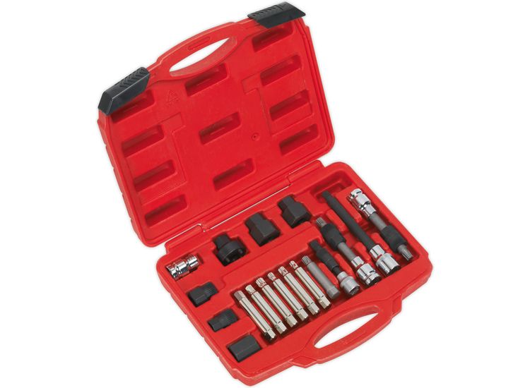 Sealey SX402 Alternator Freewheel Pulley Removal Set 18pc